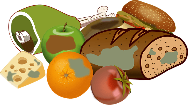 Verschimmelte Lebensmittel.